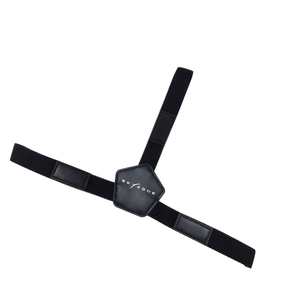 정품 SKYZONE FPV 고글, 코브라 X V2, V - Skyzone Cobra X V2 Fpv Goggles 리뷰 및 가격